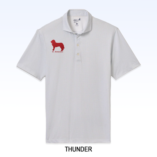 SBS_JMPO101190_Thunder